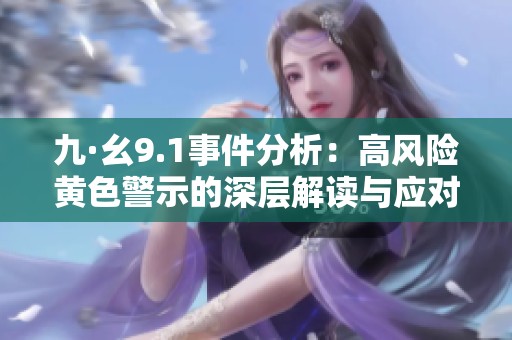 九·幺9.1事件分析：高风险黄色警示的深层解读与应对策略