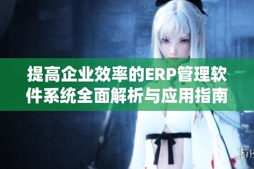 提高企业效率的ERP管理软件系统全面解析与应用指南