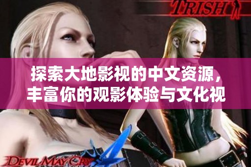 探索大地影视的中文资源，丰富你的观影体验与文化视野