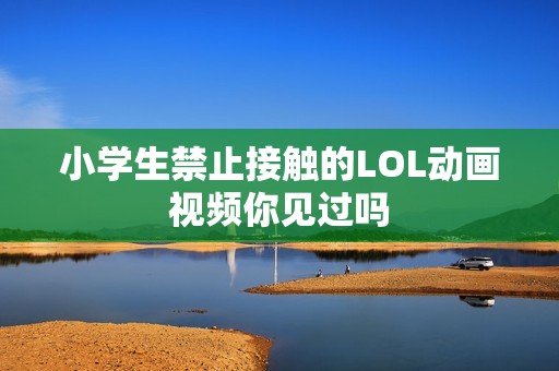 小学生禁止接触的LOL动画视频你见过吗