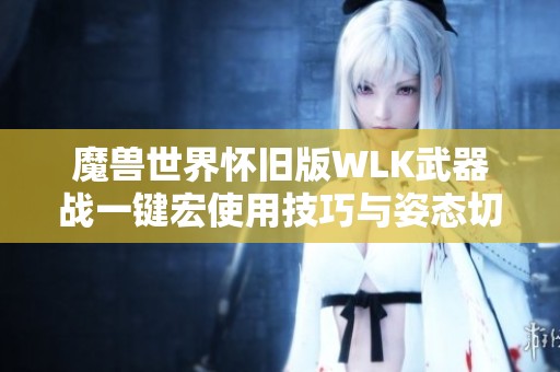 魔兽世界怀旧版WLK武器战一键宏使用技巧与姿态切换教程