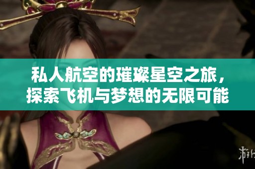 私人航空的璀璨星空之旅，探索飞机与梦想的无限可能