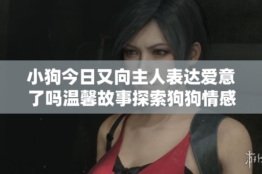 小狗今日又向主人表达爱意了吗温馨故事探索狗狗情感