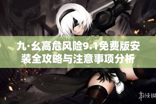 九·幺高危风险9.1免费版安装全攻略与注意事项分析