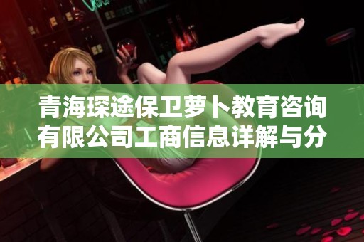 青海琛途保卫萝卜教育咨询有限公司工商信息详解与分析